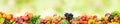 Panoramic collection fresh fruits and vegetables on green background. Royalty Free Stock Photo