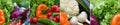 Panoramic collection fresh vegetables.Collage of vegetables. Juicy ripe vegetables . Healthy fresh food. Vegetarianism and