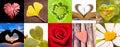 Panoramic collection of hearts, love and valentines day concept