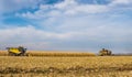 Panoram of corn field where harvesters are working, beautiful sky