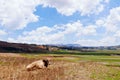 Panoramic country view, Cusco region, Peru Royalty Free Stock Photo