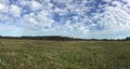 Panoramic countryside landscape with field and forest at far under beautiful blue sky with many white clouds in summer Royalty Free Stock Photo