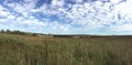 Panoramic countryside landscape with field and forest at far under beautiful blue sky with many white clouds in summer Royalty Free Stock Photo