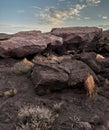 Panoramic of a desert landscape in the La Payunia Provincial Reserve Royalty Free Stock Photo