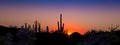 Panoramic Desert Sunset Royalty Free Stock Photo