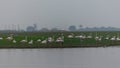 Panoramic Evening Bird Photo At Bhigwan Bird Sanctuary