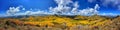 Panoramic of a fall landscape with a mountain range covered in yellow foliage in Aspen, Colorado Royalty Free Stock Photo