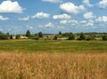 Panoramic farm wild landscape