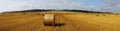 Panoramic field and hay bales Royalty Free Stock Photo