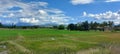 Panoramic field of rice and coconut garden in distance under cloudy sky with mountains