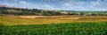 Panoramic of a field of sunflowers and corn, as well as fragments of fields, rural lands on the horizon Royalty Free Stock Photo