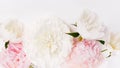 Panoramic floral banner with white and pink peonies on light background, elegant soft composition with copy space for wedding Royalty Free Stock Photo