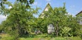 Panoramic fragment of a fine and simple apple trees summer July European garden