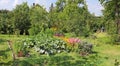 Panoramic fragment of a fine and simple summer July European vegetable and decorative garden