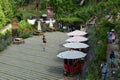 Panoramic from garden flower bandung indonesia Royalty Free Stock Photo