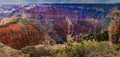 Panoramic of the Grand Canyon from the North Rim Imperial Point Royalty Free Stock Photo