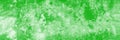 Panoramic green background with copy space