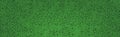 Panoramic green background realistic grass soccer turf - Vector