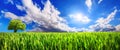 Panoramic green field with dynamic cloudscape Royalty Free Stock Photo