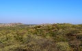 Panoramic Green Landscape of a Prosopis Juliflora forest and Hills captured from a Hill - A Natural Background with Blue Sky Royalty Free Stock Photo