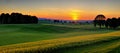 Panoramic Green Meadow Landscape At Sunset For Background