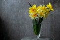 Panoramic grunge background with yellow daffodil flowers. Pattern with a bouquet of daffodils flowers on a dark