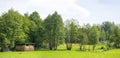 Panoramic hay barn in the green field Royalty Free Stock Photo