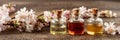 Panoramic header of essential oil bottles with blooming tree branches