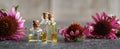 Panoramic header with essential oil bottles and echinacea flowers