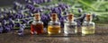 Panoramic header of essential oil bottles and lavender flowers Royalty Free Stock Photo