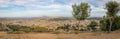 Panoramic high angle view of the old Fez city in Morocco under the cloudy sky Royalty Free Stock Photo