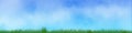 Panoramic illustration of simple small flowers and a grass line under an almost cloudless sky