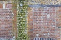 Panoramic image of a Decorative old and red brick and flint wall with green and yellow vegetable moss Royalty Free Stock Photo