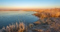 Panoramic image of Dutch National Park Biesbosch in wintertime