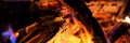 Panoramic image firewood bonfire is blazing. Burning wood campfire Royalty Free Stock Photo