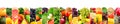 Panoramic image healthy fruits and vegetables in vertical strip Royalty Free Stock Photo