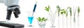 Panoramic image -Laboratory glassware with different plants and microscope on table against white background, space for text.