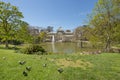 Panoramic image of the Palace of Crystal inside the Retiro Park in Madrid. Pigeons in the foreground pecking at the grass, Royalty Free Stock Photo