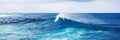 Panoramic image of the powerful splash sea wave