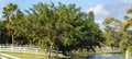 Panoramic image of rural pastures with white fences on a canal on a sunny day. Royalty Free Stock Photo