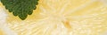 Panorama. Sliced yellow lemon with leaves of fresh lemon balm Melissa officinalis Royalty Free Stock Photo