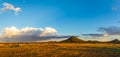 Panoramic image of the Sonoran Desert of Arizona during sunset with distant rain Royalty Free Stock Photo
