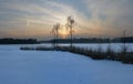 Panoramic image of sunset behind two birches next to a frozen pond in winter Royalty Free Stock Photo