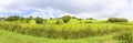 Panoramic Irish landscape with a green field, hills and trees on cloudy sky Ireland