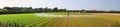 Panoramic irrigation field