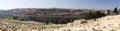 Panoramic Jerusalem Royalty Free Stock Photo