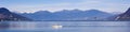 Panoramic Lake Maggiore landscape Royalty Free Stock Photo