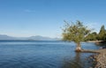 Panorama of Lake Ranco, the third largest lake in Chile. In the region of Los Rios, in Araucania or Patagonia, Chilean Andes. Royalty Free Stock Photo