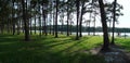 Panoramic Lake View with Trees Royalty Free Stock Photo