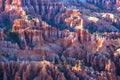 Panoramic landscape, Bryce canyon National park at sunset, US Royalty Free Stock Photo